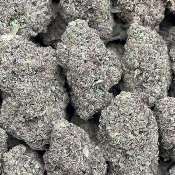 Dawg Breath