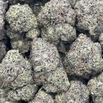 WHITE CHERRY GUSHERZ