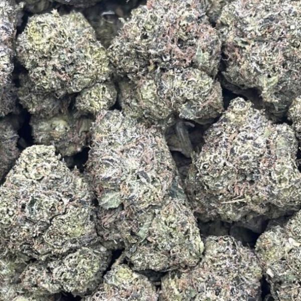 WHITE CHERRY GUSHERZ
