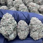 TROPICANA COOKIES