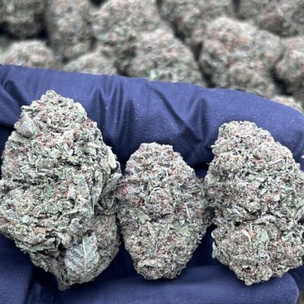 TROPICANA COOKIES