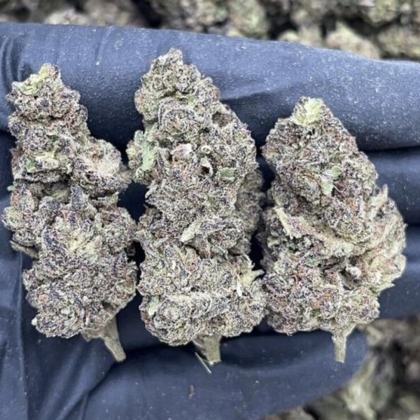 Scooby Snacks