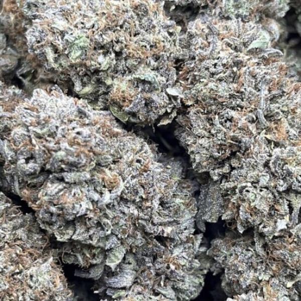 PLATINUM BUBBA