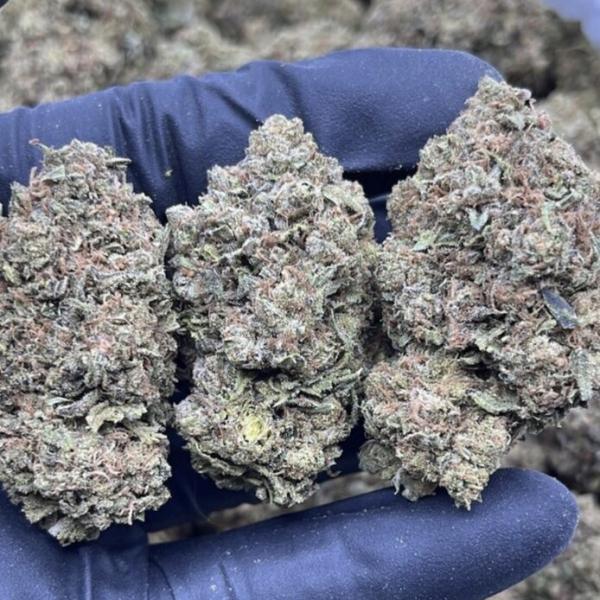 CITRUS DREAM
