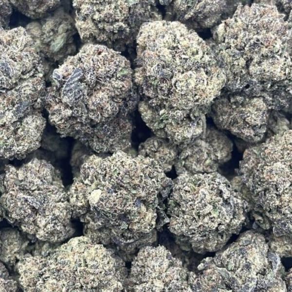 GELATO #45