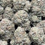 MANGO HAZE