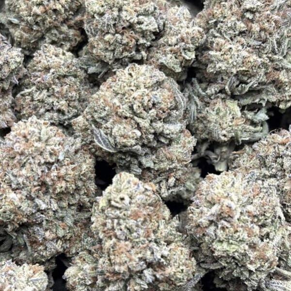 MANGO HAZE