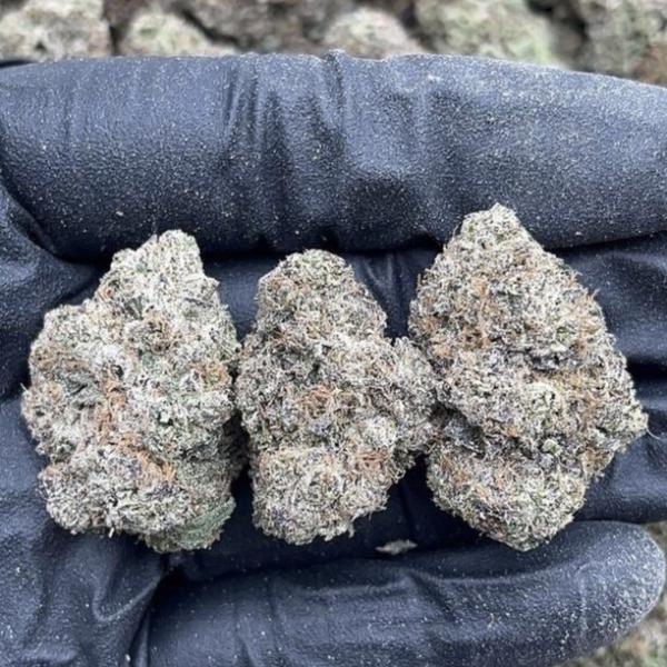 Gelato Sundae