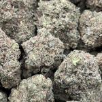 STRAWBERRY COUGH