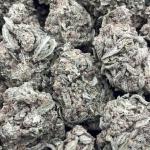 MAUI WOWIE
