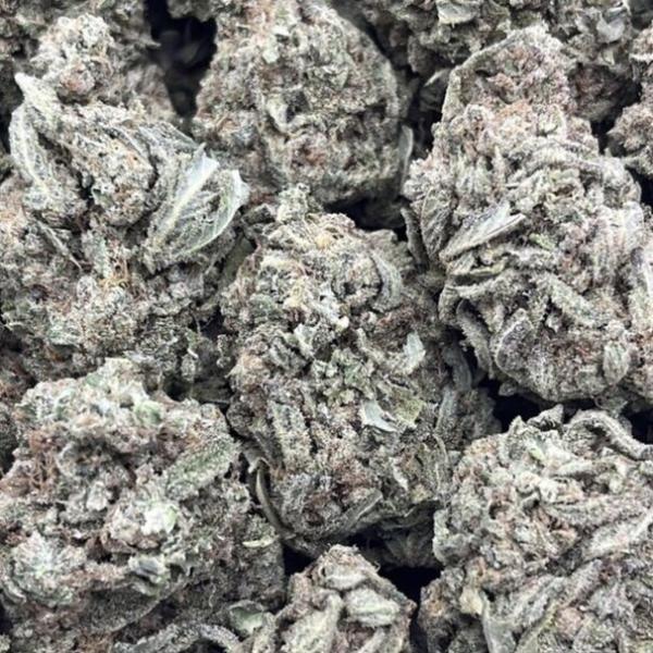 MAUI WOWIE