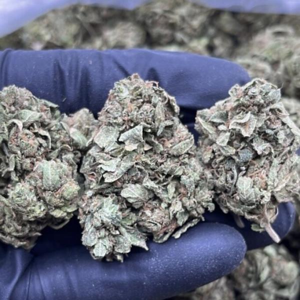 GRAPE STOMPER