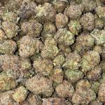 BLACK TRUFFLE (CR31)