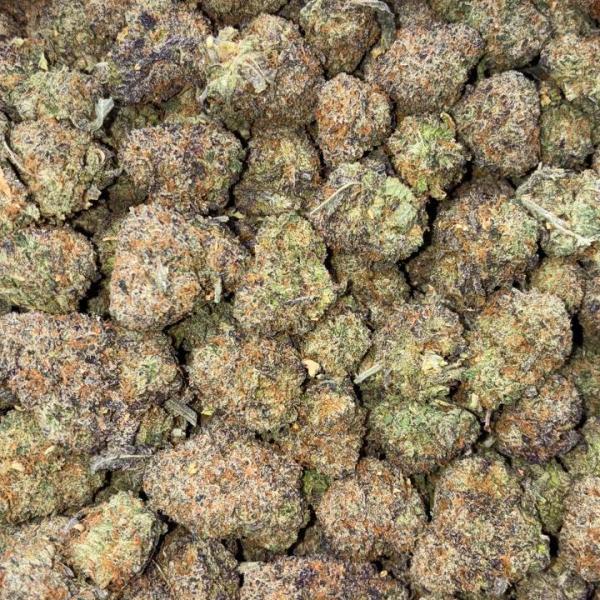 BLACK TRUFFLE (CR31)