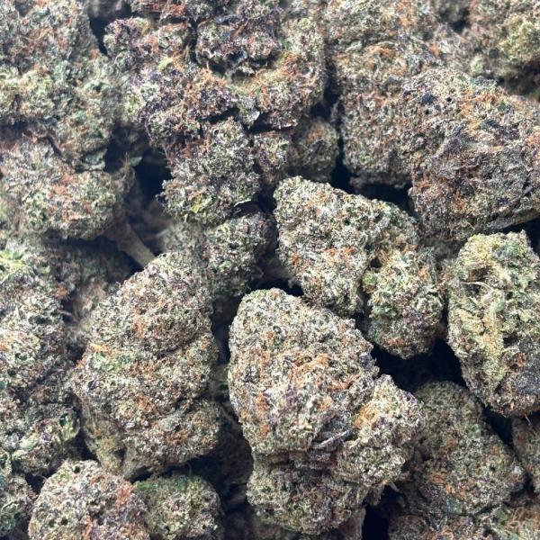 PURPLE GUM (248