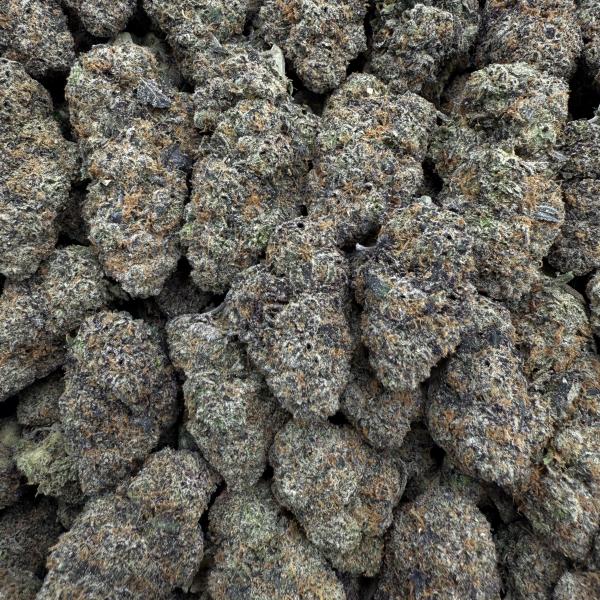 LEMON CRUSH GELATO (LCG72)