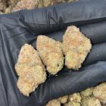 BLACK TRUFFLE (CR31)