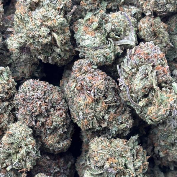 PLATINUM (PK61)