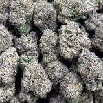 INTERNATIONAL CARMEL COOKIE (icc156)