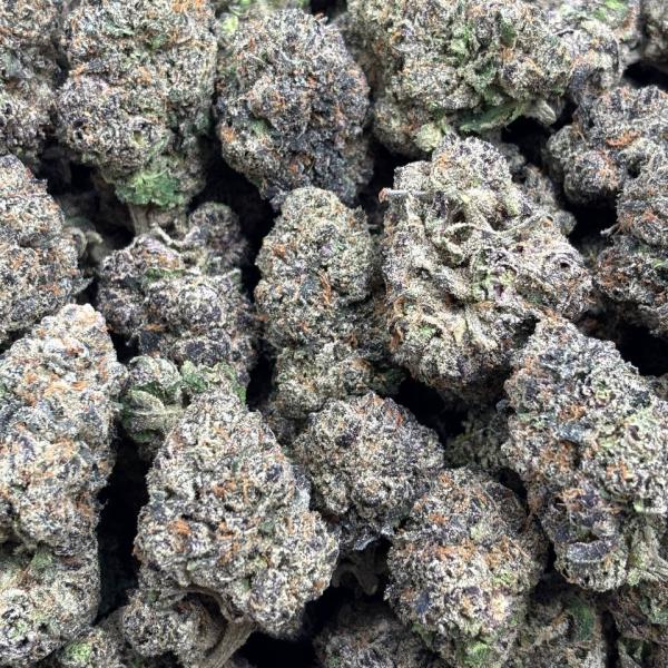 INTERNATIONAL CARMEL COOKIE (icc156)