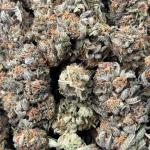 PLATINUM (PK24)