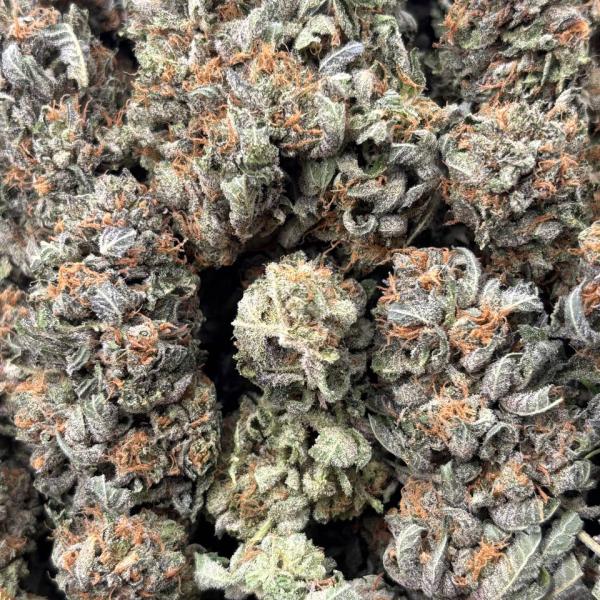 PLATINUM (PK24)