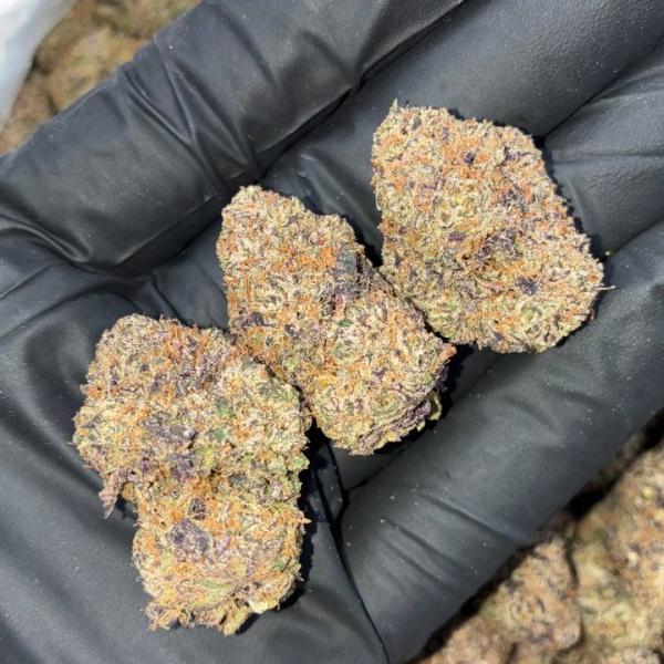 RASPBERRY GUMMIES (RG)