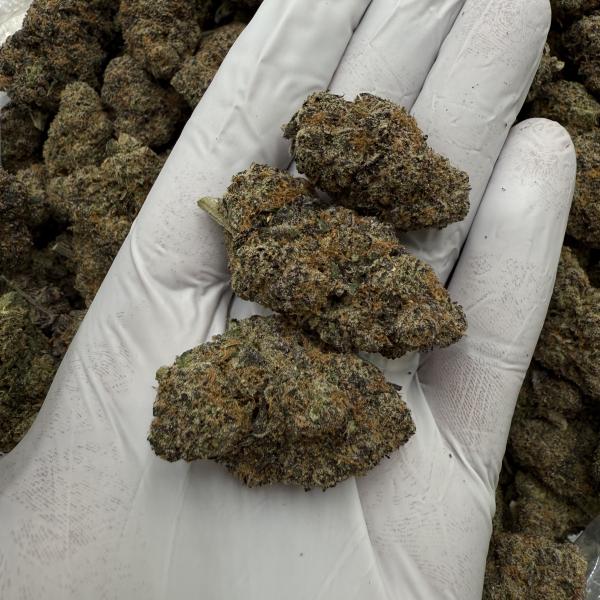 Peach Pearl GUMBO (ppg66)