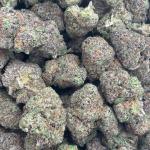 BLUE COOKIES (BC80)