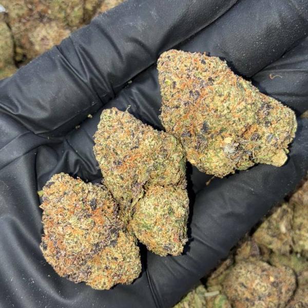 LONDON CANDY RUNTZ (LCR168)