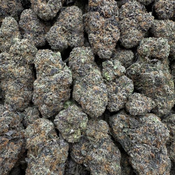 Peach Pearl GUMBO (ppg66)