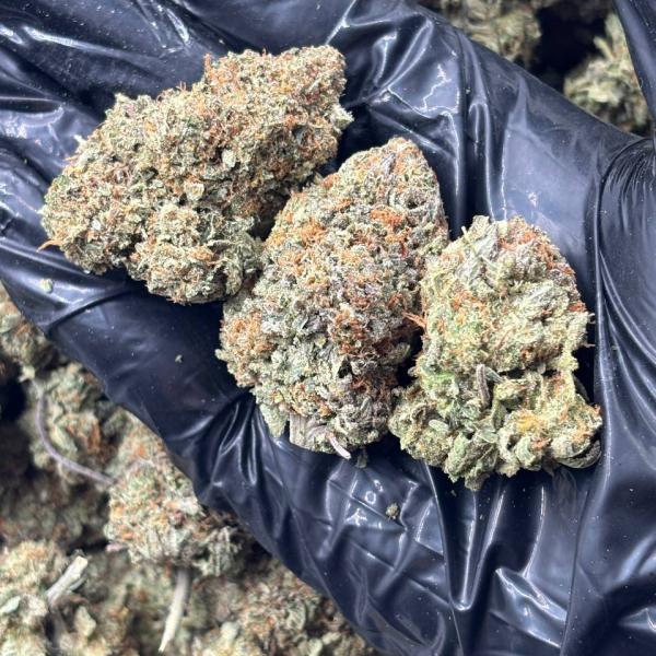 PLATINUM (PK61)