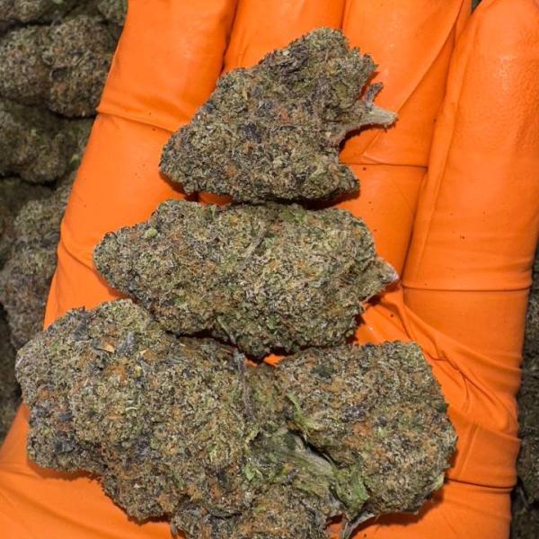 XXX BLACK RUNTZ (XBR)