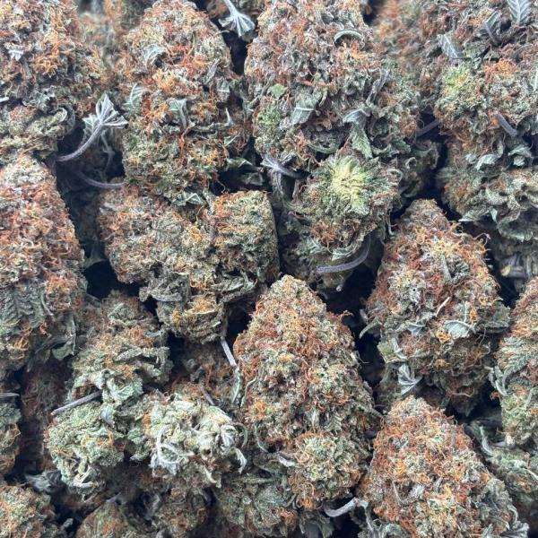 PURPLE KRUMBLE (pk37)