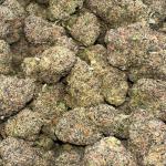 XXX BLACK RUNTZ (XBR)