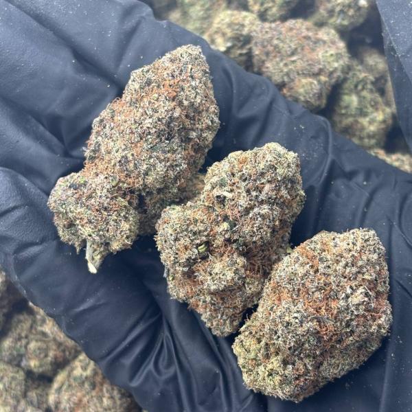 LEMON CHERRY GELATO (LCG15)