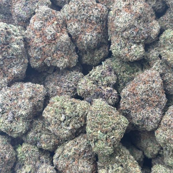 LEMON CHERRY GELATO (LCG15)