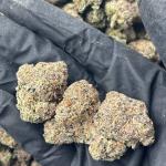 GELATO BLACKBERRY (GBB1)