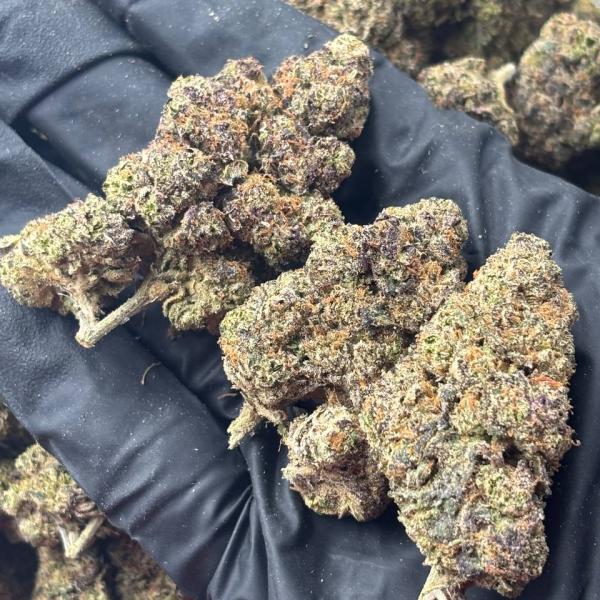 PURPLE GUM (248
