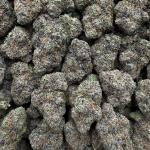 PURE PURPLE GUSHER (ppg24)