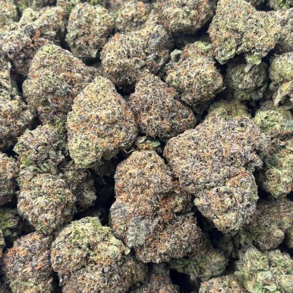 GELATO BLACKBERRY (GBB1)