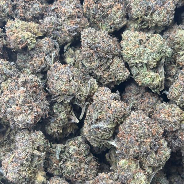 GELATO BOMB (GB)