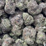 LEMON CHERRY GELATO (LCG20)