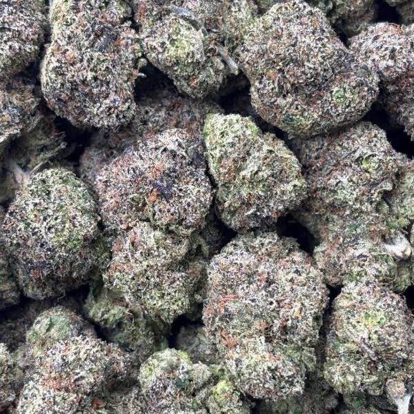 LEMON CHERRY GELATO (LCG20)