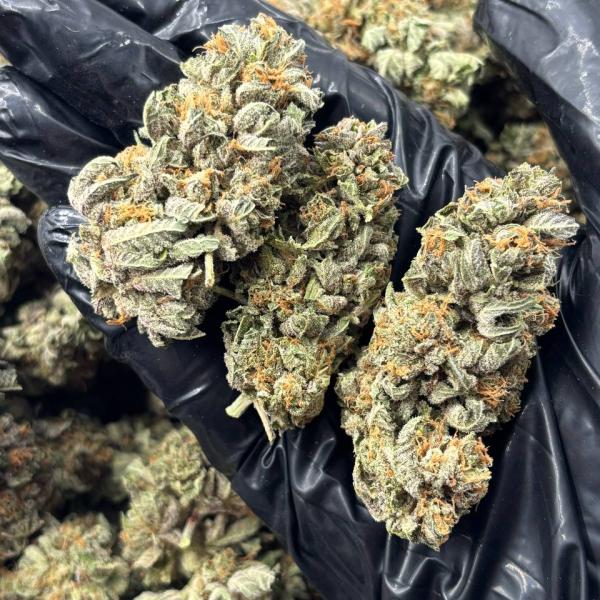 PLATINUM (PK24)