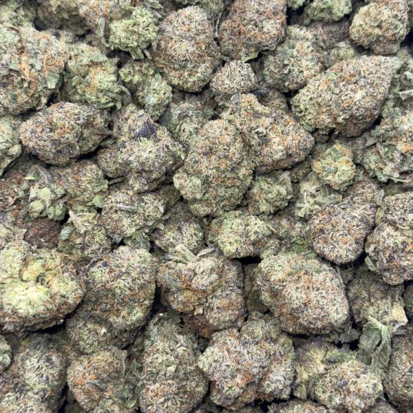 Gelato Burst (GB91)