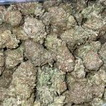 PURPLE PLATINUM