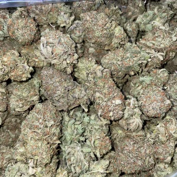 PURPLE PLATINUM