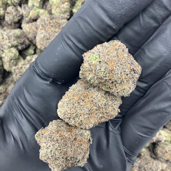 🆕GasBerriez(GB93)