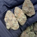 Lemon Cash Gelato (LCG65)